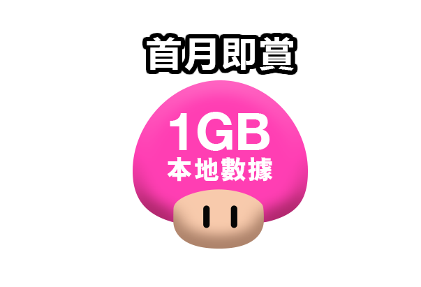 1GB