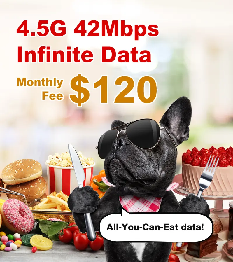4.5G 42Mbps Infinite Data