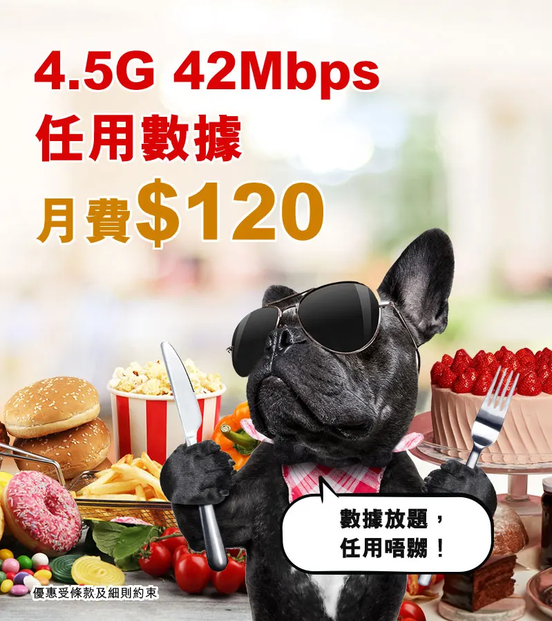 4.5G 42Mbps 任用數據計劃